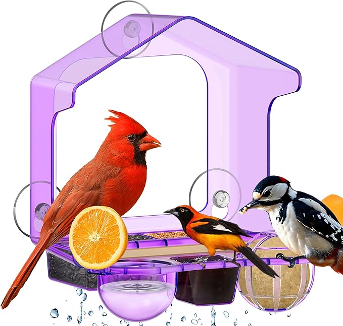 LUJII 6-in-1 Window Bird Feeder with Strongest Suction Cups, All-in-one Feeder for Bird Seed, Suet Ball, Mealworm, Oriole Orange Fruit, Jam or Water, Easy to Clean with 2 Removable Trays, Purple